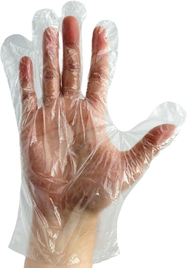 TPE Vinal Food Service Gloves - 2 Mil - Large - 2000 Gloves/Case