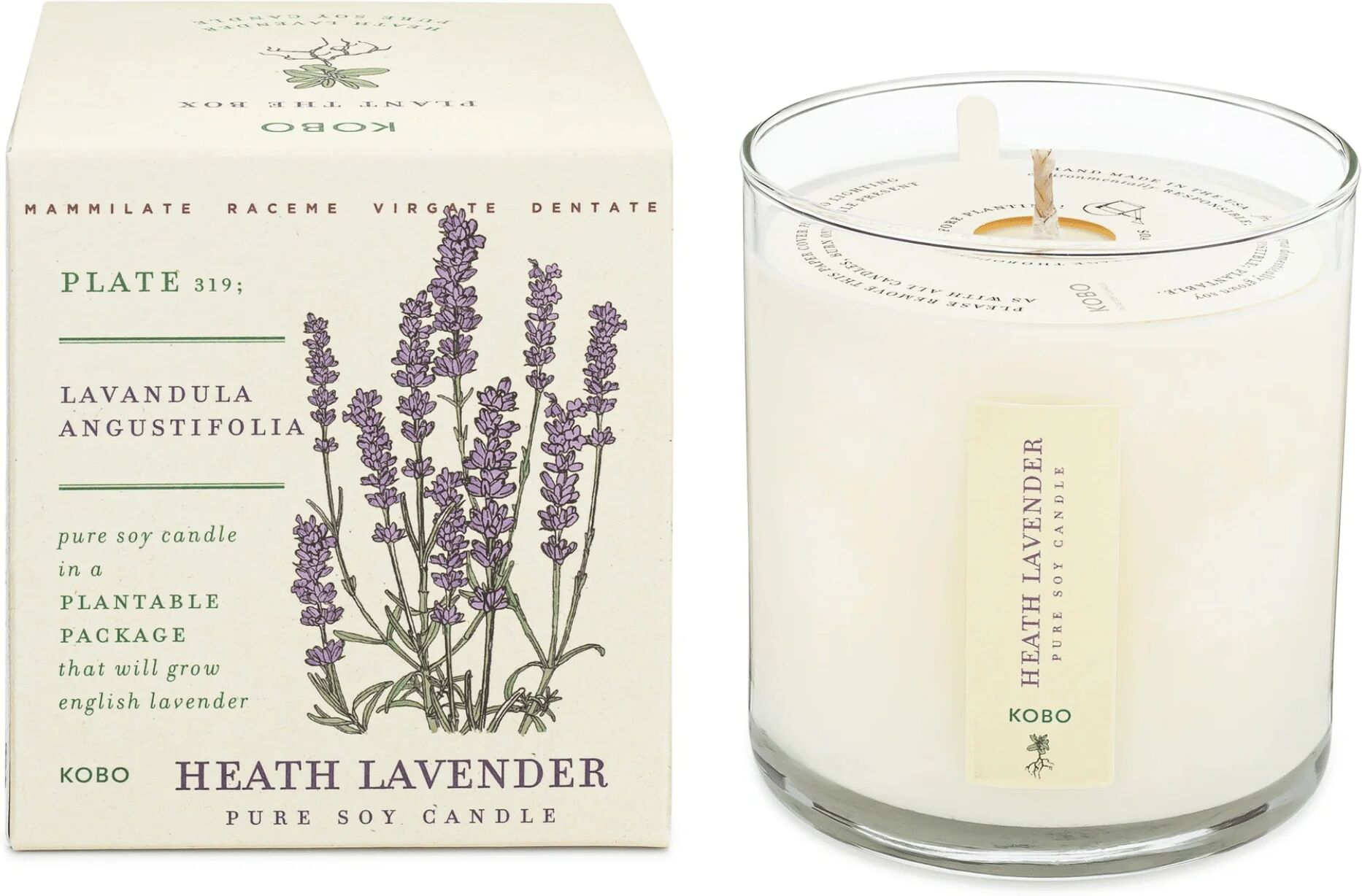 KOBO Heath Lavender Plant the Box Candle (9 oz) #10070597