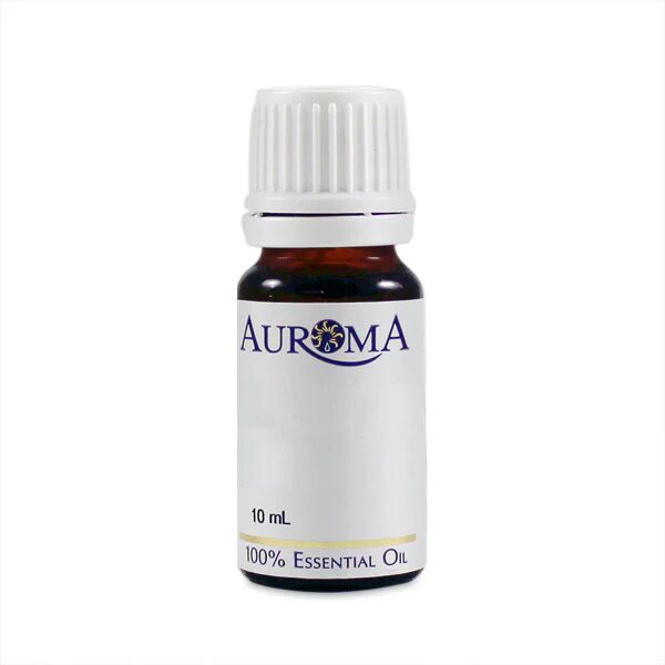 Auroma Thyme Wild Essential Oil (0.33 fl oz) #11139