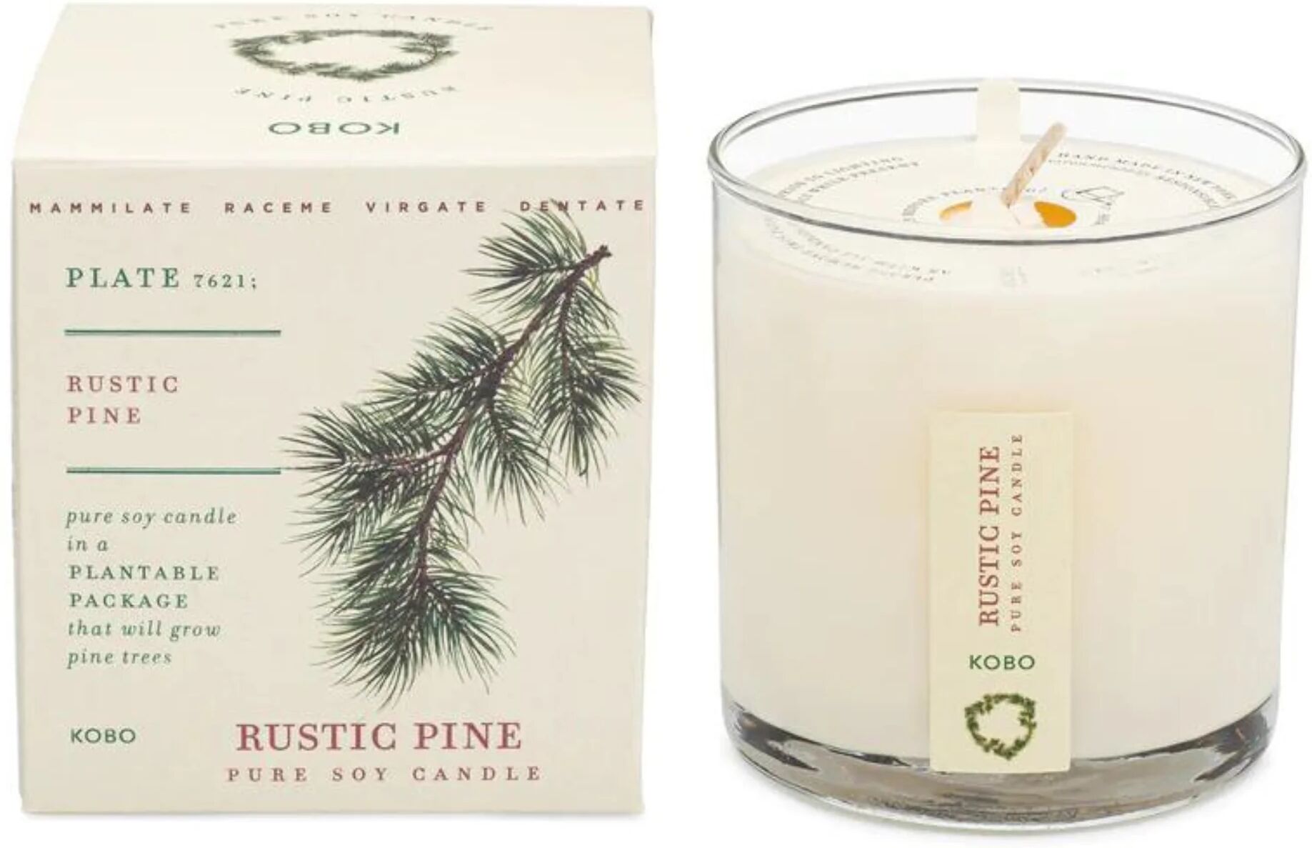 KOBO Rustic Pine Plant the Box Candle (9 oz) #10085659