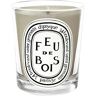 diptyque Paris Feu de Bois (Firewood) Candle (6.5 oz) #21209