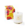 Soap & Paper Factory Sun Kissed Large Soy Candle (9.5 oz) #10084882
