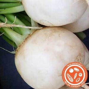 TrueLeafMarket Turnip Seeds - Shogoin - Clearance Seeds