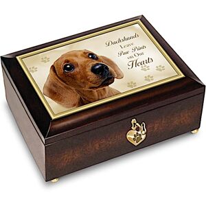 The Bradford Exchange Dachshunds Leave Paw Prints On Our Hearts Music Box The Bradford Exchange Dachshunds Leave Paw Prints On Our Hearts Music Box
