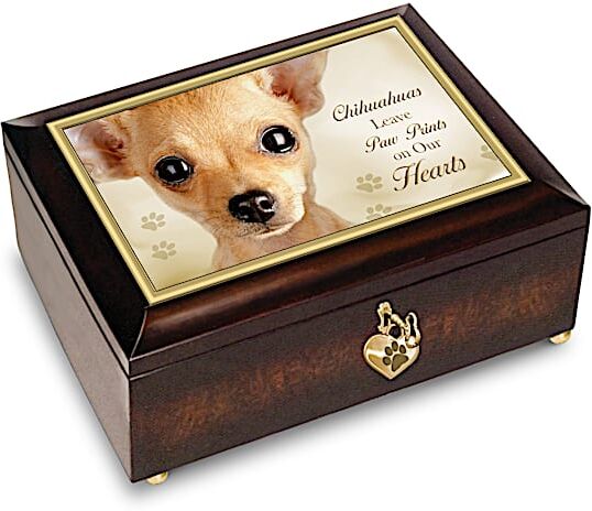 The Bradford Exchange Chihuahuas Leave Paw Prints On Our Hearts Music Box