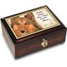 The Bradford Exchange Shelties Leave Paw Prints On Our Hearts Music Box