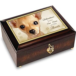 The Bradford Exchange Chihuahuas Leave Paw Prints On Our Hearts Music Box