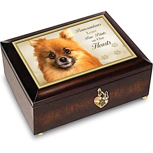 The Bradford Exchange Pomeranians Leave Paw Prints On Our Hearts Music Box