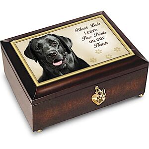 The Bradford Exchange Black Labs Leave Paw Prints On Our Hearts Music Box