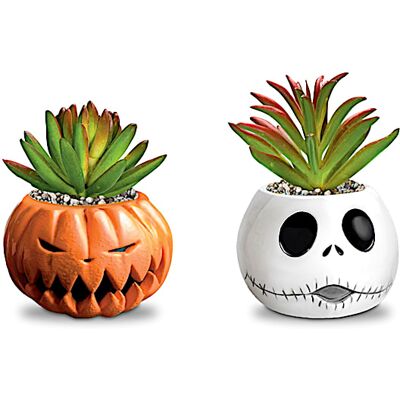 The Bradford Exchange The Nightmare Before Christmas Succulents Collection The Bradford Exchange The Nightmare Before Christmas Succulents Collection