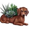 The Bradford Exchange Dachshund Planter With Always In Bloom Succulents