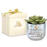 The Bradford Exchange Personalized Faux Succulent Planter For Daughters-In-Law