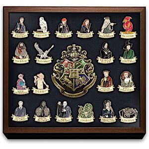 The Bradford Exchange HARRY POTTER Ultimate Pin Collection With Custom Display
