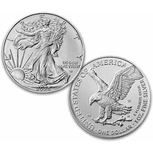 The Bradford Exchange Complete American Eagle Silver Dollar Coin Collection