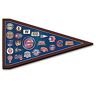 The Bradford Exchange Cubs Tribute Pin Collection With Pennant Display