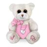 The Bradford Exchange Heart Pendant Necklace And Plush Bear Set For Granddaughter
