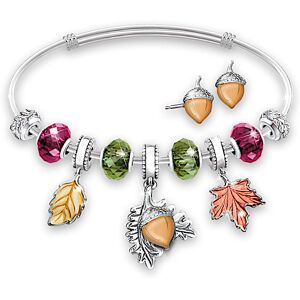 The Bradford Exchange Celebrations For The Year Handcrafted Charm Bracelet Collection