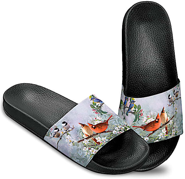 The Bradford Exchange Women's Slide Sandal Shoes Adorned With Bird Art By Artist Joe Hautman