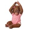 The Ashton-Drake Galleries Annabelle's Hugs So Truly Real Poseable Lifelike Monkey Doll