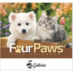 Positive Promotions 100 Four Paws 2026 Appointment Calendars - One-Color Personalization Available