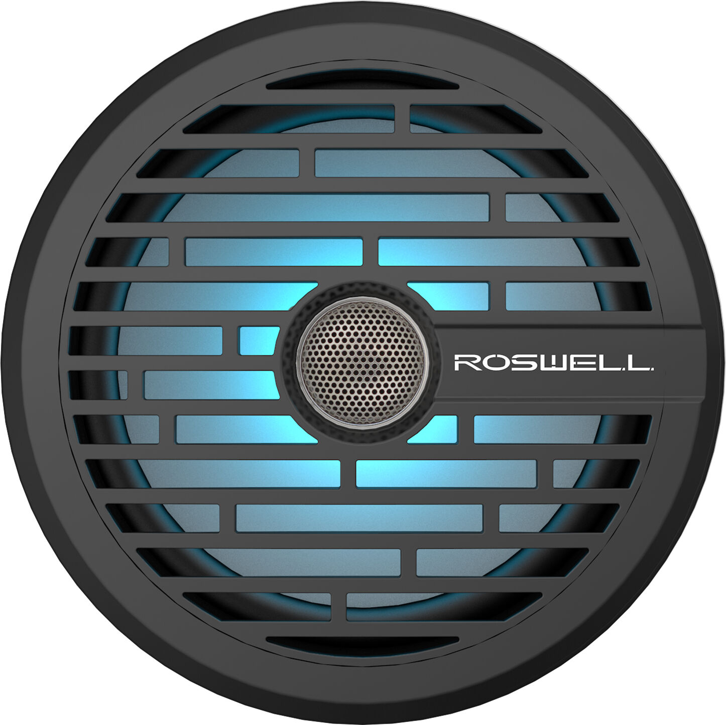 Roswell Wake Air R1 8" In-Boat Speaker - Black