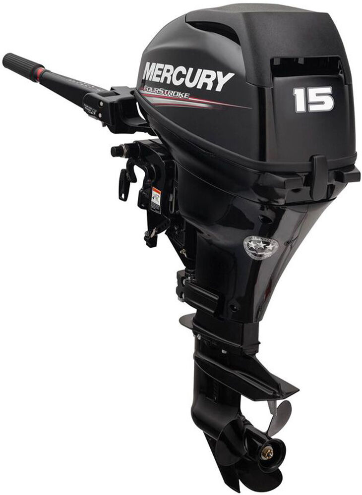 Mercury Marine 1A15311LK 15 HP 4-Stroke EFI Outboard, 20" Shaft, Electric Start