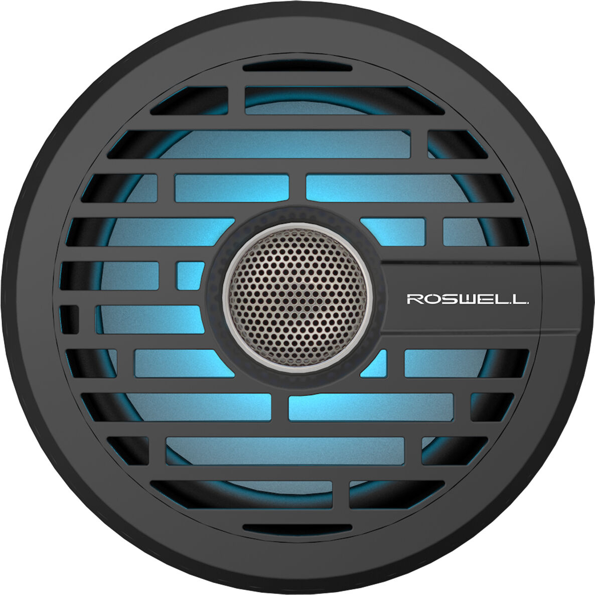 Roswell Wake Air R1 6. 5" In-Boat Speaker - Black