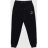 Psycho Bunny Kids Chester Embroidered Sweatpant - B0P359Z1FT 001 BLACK / L/14-16 - L/14-16