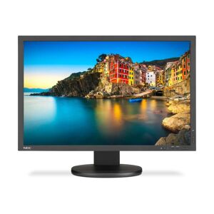 NEC MultiSync P243W 24&quot; Professional sRGB Gamut Desktop IPS LED Monitor