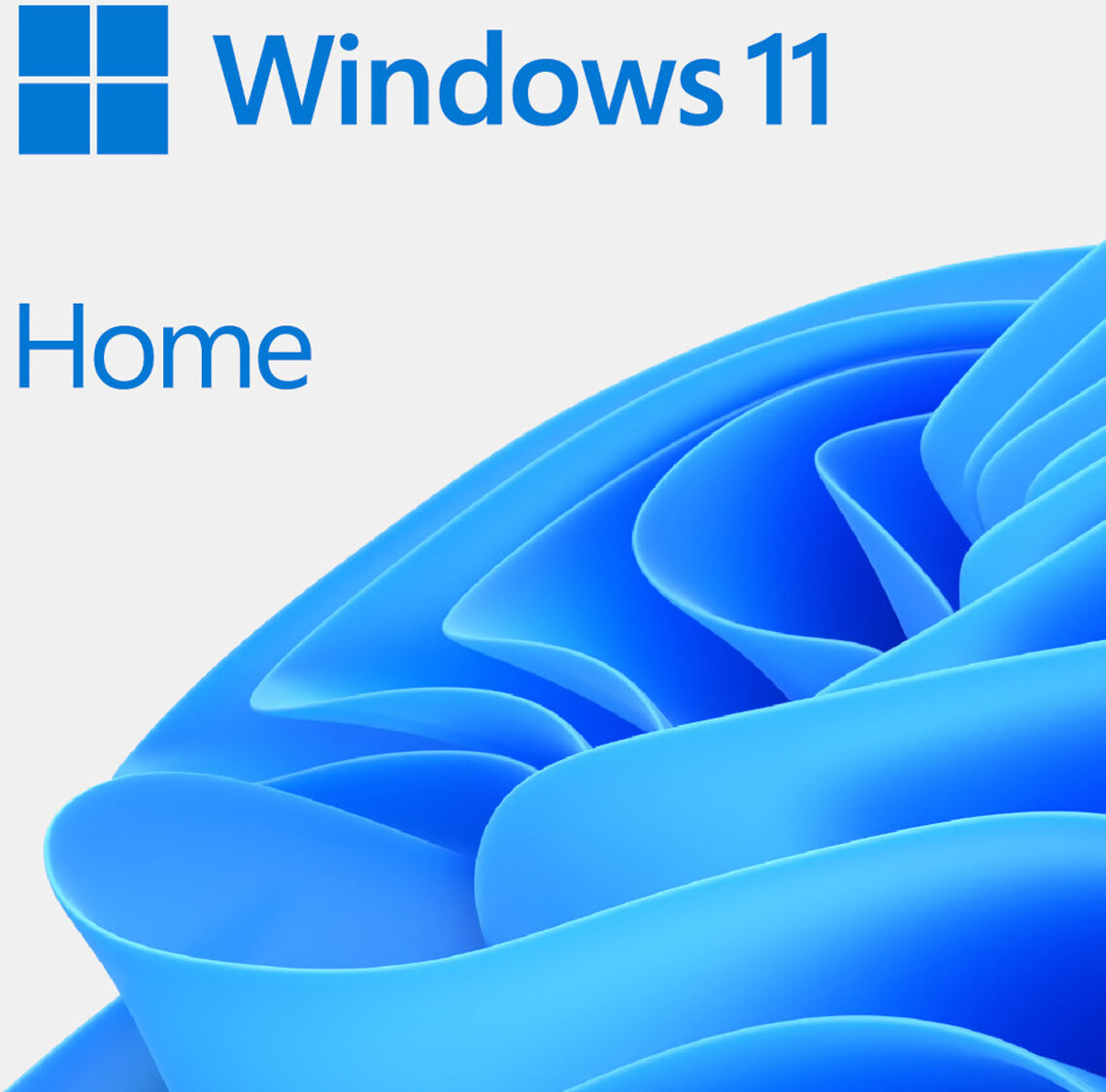 Microsoft Windows 11 Home, 64 Bit, Single License