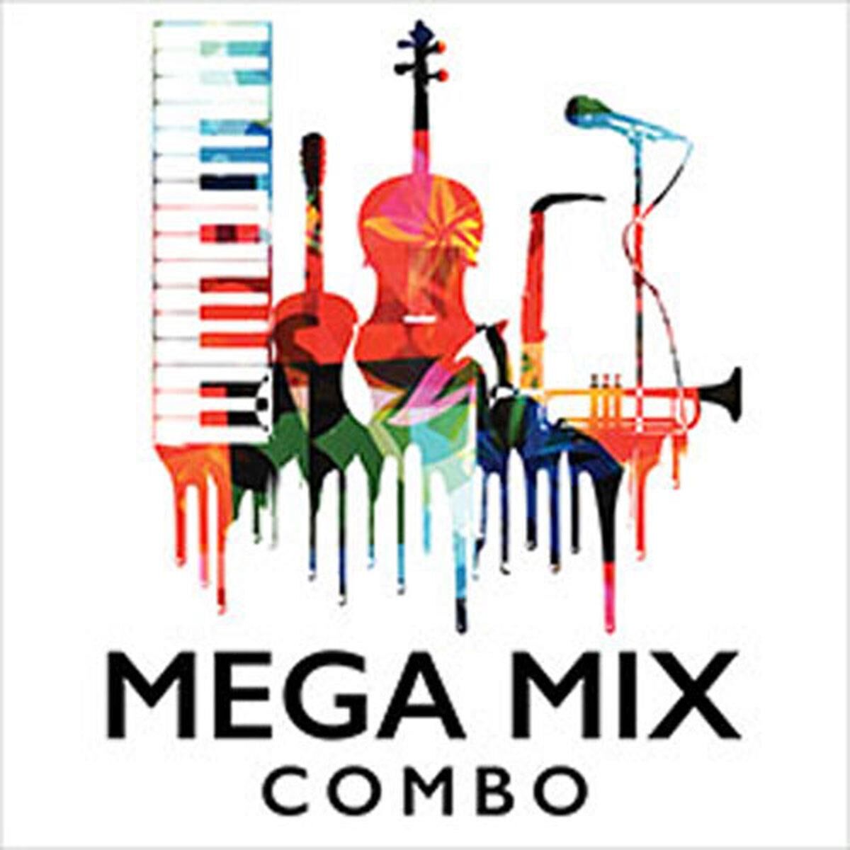 Sound Ideas MegaMix Combo Royalty Music &amp; Production Elements, Hard Drive, MAC