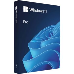 Microsoft Windows 11 Professional 64-Bit, Single License, USB Flash Drive