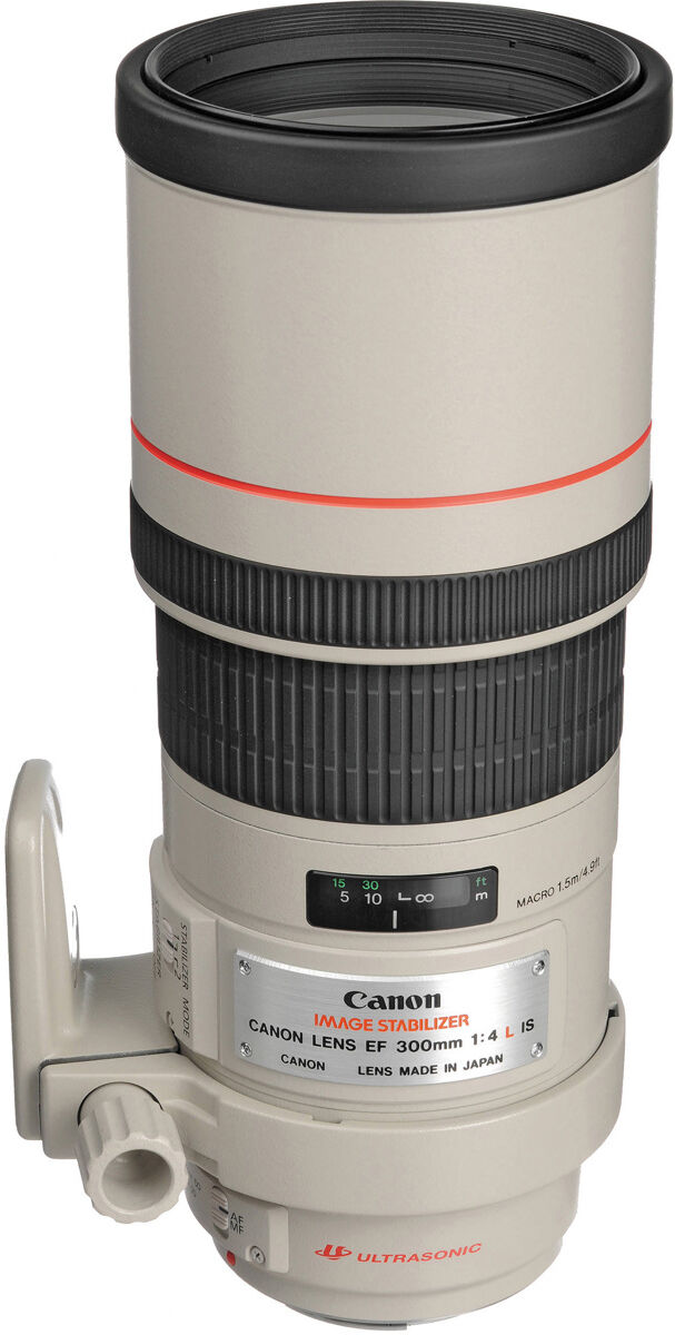 Canon EF 300mm f/4L IS USM Lens