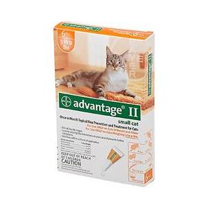 HORSELOVERZ Advantage 2 Cat - Orange - Size: 0-10Pound/4Pack