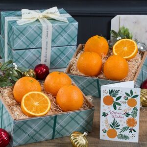 GourmetGiftBaskets.com Happy Holidays Oranges Fruit Gift Tower