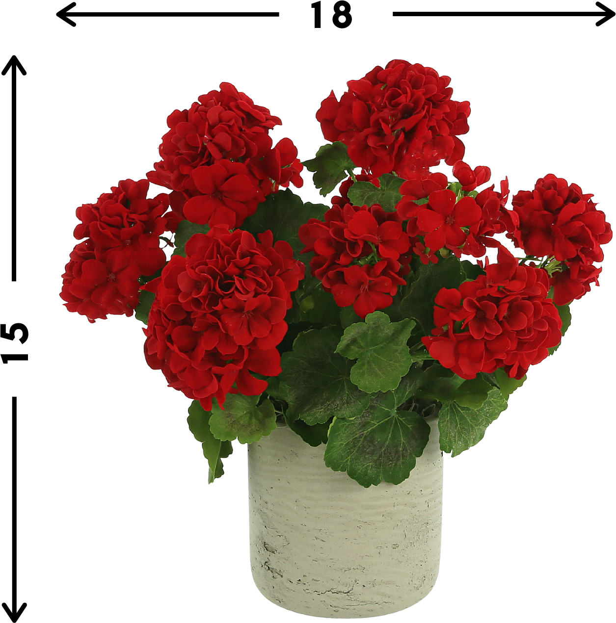 Creative Labs Displays Red Geranium Arrangement