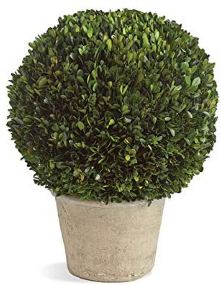 Napa Home & Garden Pg 12" Ball In Gray Pot