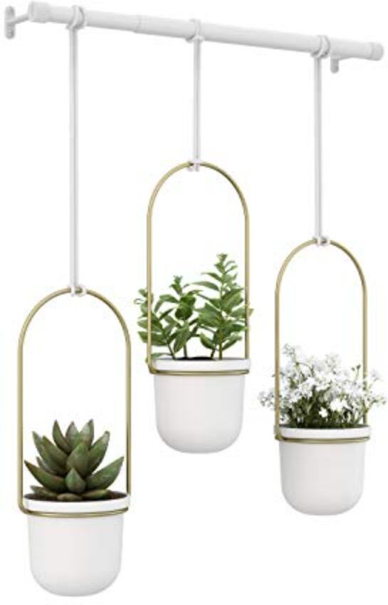 Umbra Triflora Hanging Planters For Indoor Plants Or Herbs