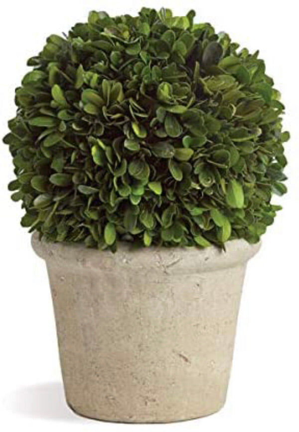 Napa Home & Garden Preserved Boxwood Ball In Grey Pot, 8-inch