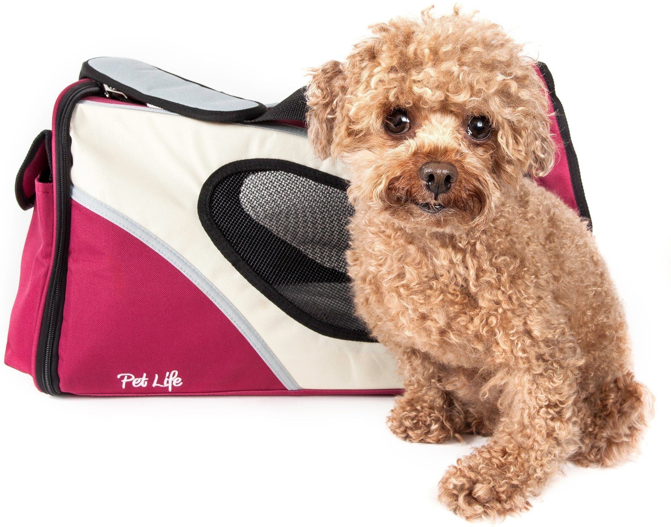 Pet Life 'Phenom-Air' Airline Approved Collapsible Fashion Designer Pet Dog Carrier