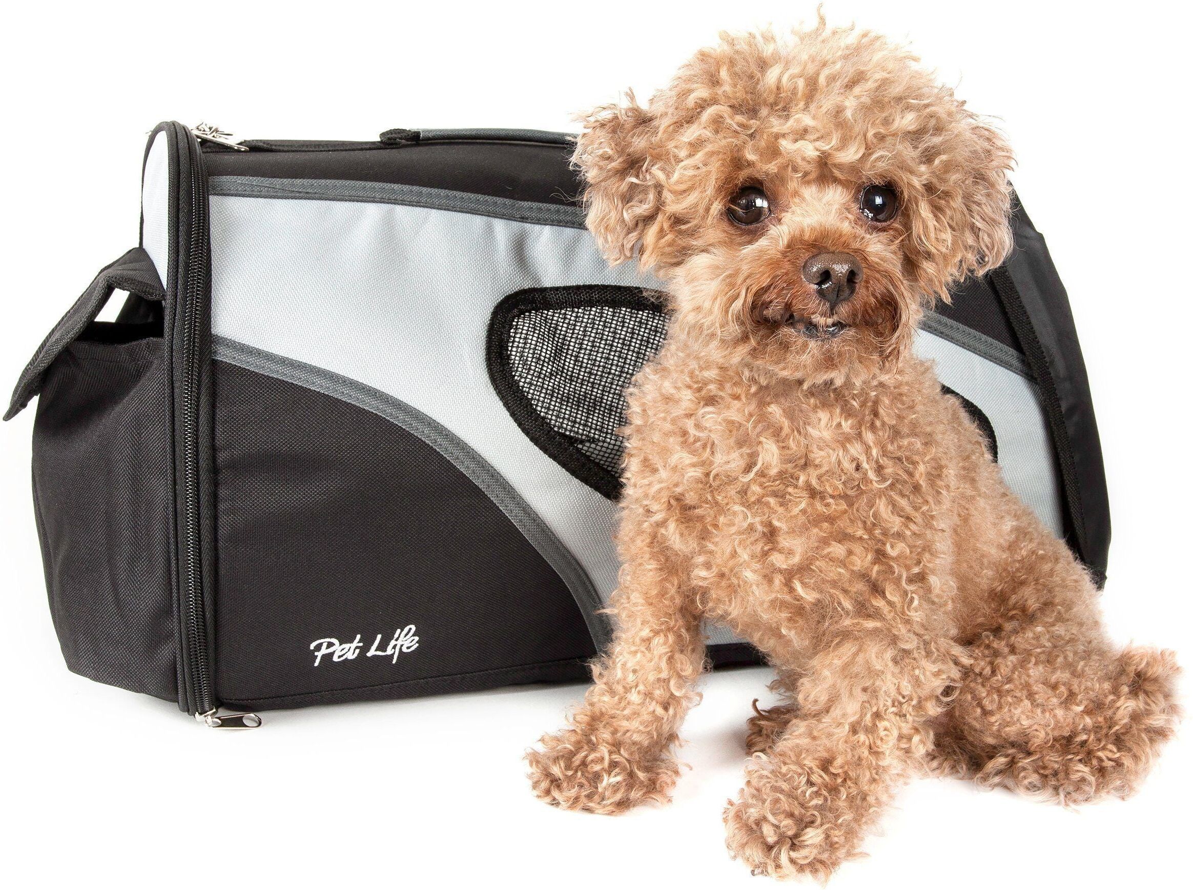 Pet Life 'Phenom-Air' Airline Approved Collapsible Fashion Designer Pet Dog Carrier