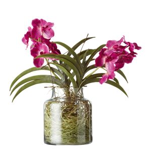 OKA Cymbidium Orchids with Vase - Pink