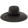 Alberta Ferretti Black Wide Hat In Straw Woman - Black - female - Size: Large