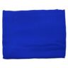 Alberta Ferretti Scarf - Blue - female - Size: 0one size