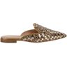 Alberta Ferretti Brown Mules With Embroideries In Leather And Acetate Woman - Beige - female - Size: 39