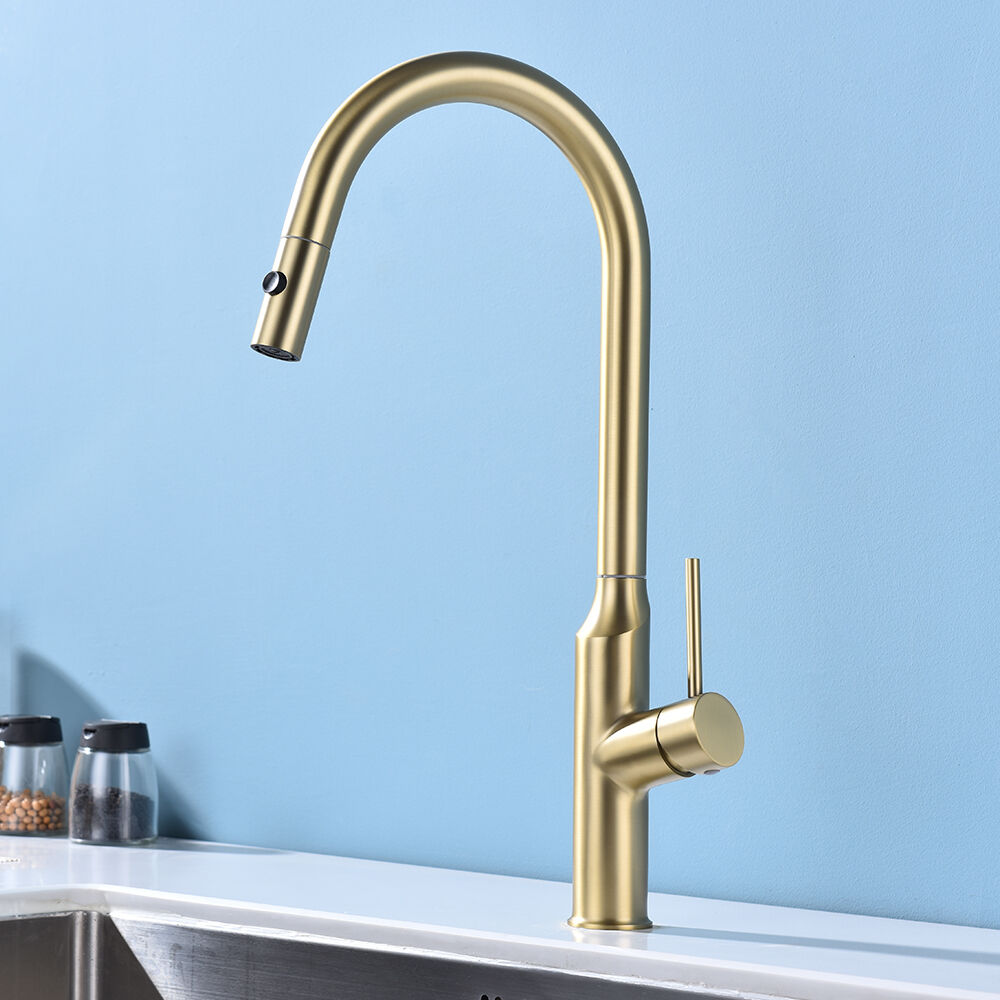 Homary Modern Pull Out Kitchen Faucet with Double Function Sprayer Single Handle Brushed Gold