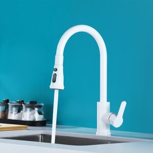 Homary White High-Arc Single Handle Pullout Sprayer Kitchen Faucet with Dual Function