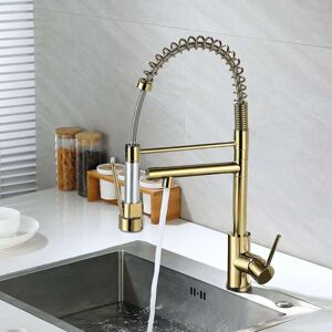 Homary Pull Out Sprayer Kitchen Faucet Single Hole Double Spout Solid Brass