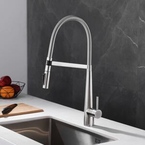 Homary Pull-Down Kitchen Faucet with Filtered Water Mode – Brushed Nickel, Stainless Steel