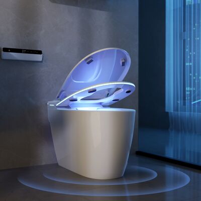Homary Self Cleaning Heated Seat Japanese Toilet With Bidet Spray And Auto Lid Homary Self Cleaning Heated Seat Japanese Toilet With Bidet Spray And Auto Lid